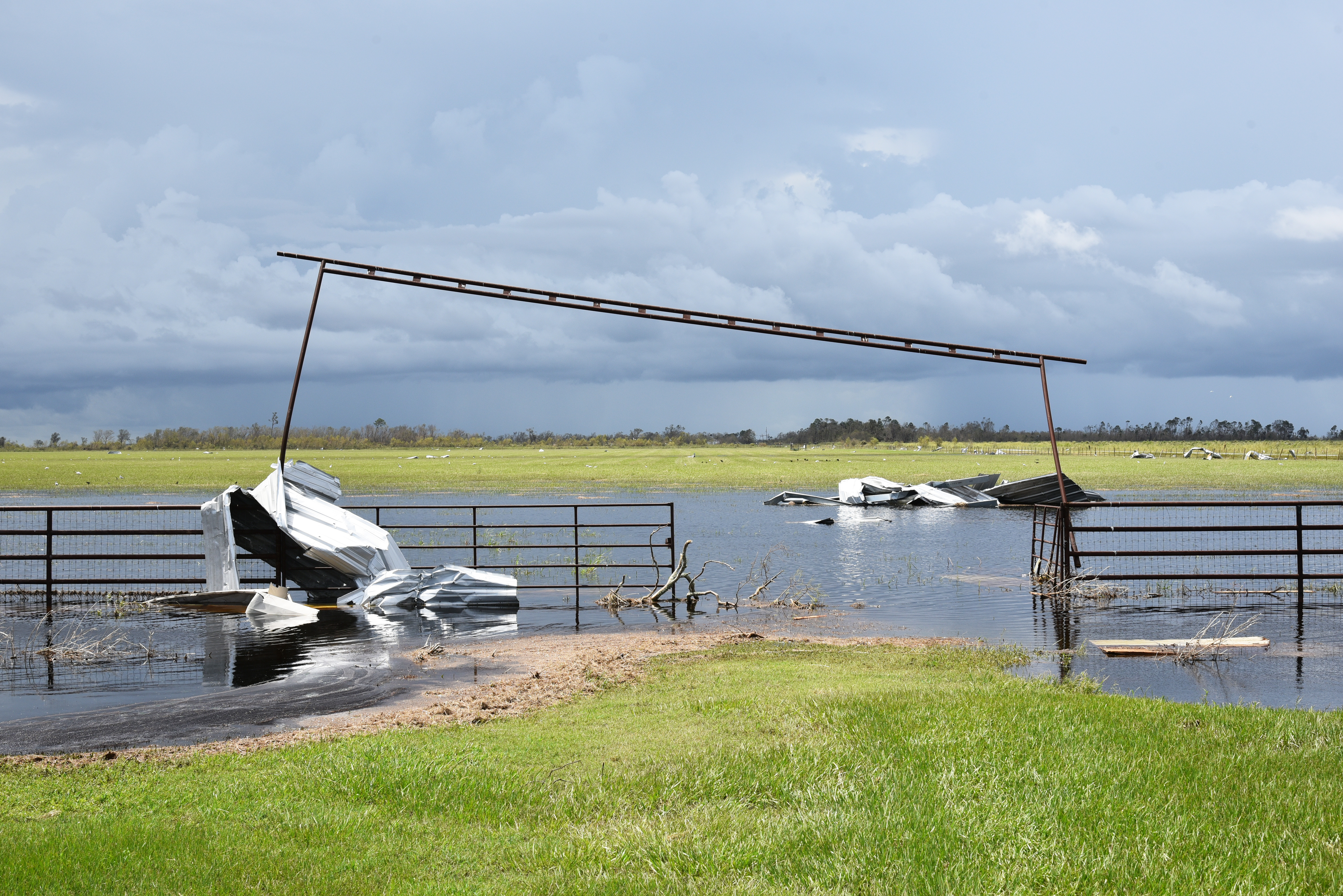La. livestock owners can apply for help following Hurricane Laura 
